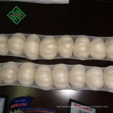 wholesale Chinese fresh pure white garlic